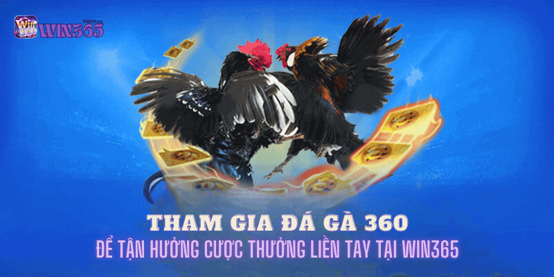 đá gà 360 tại win365