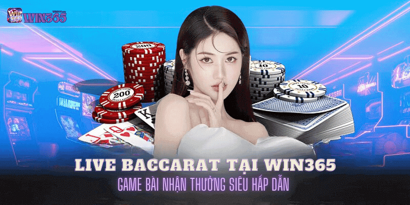 live baccarat tại win365